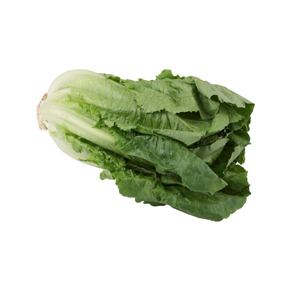 日本羅馬生菜 (600g)