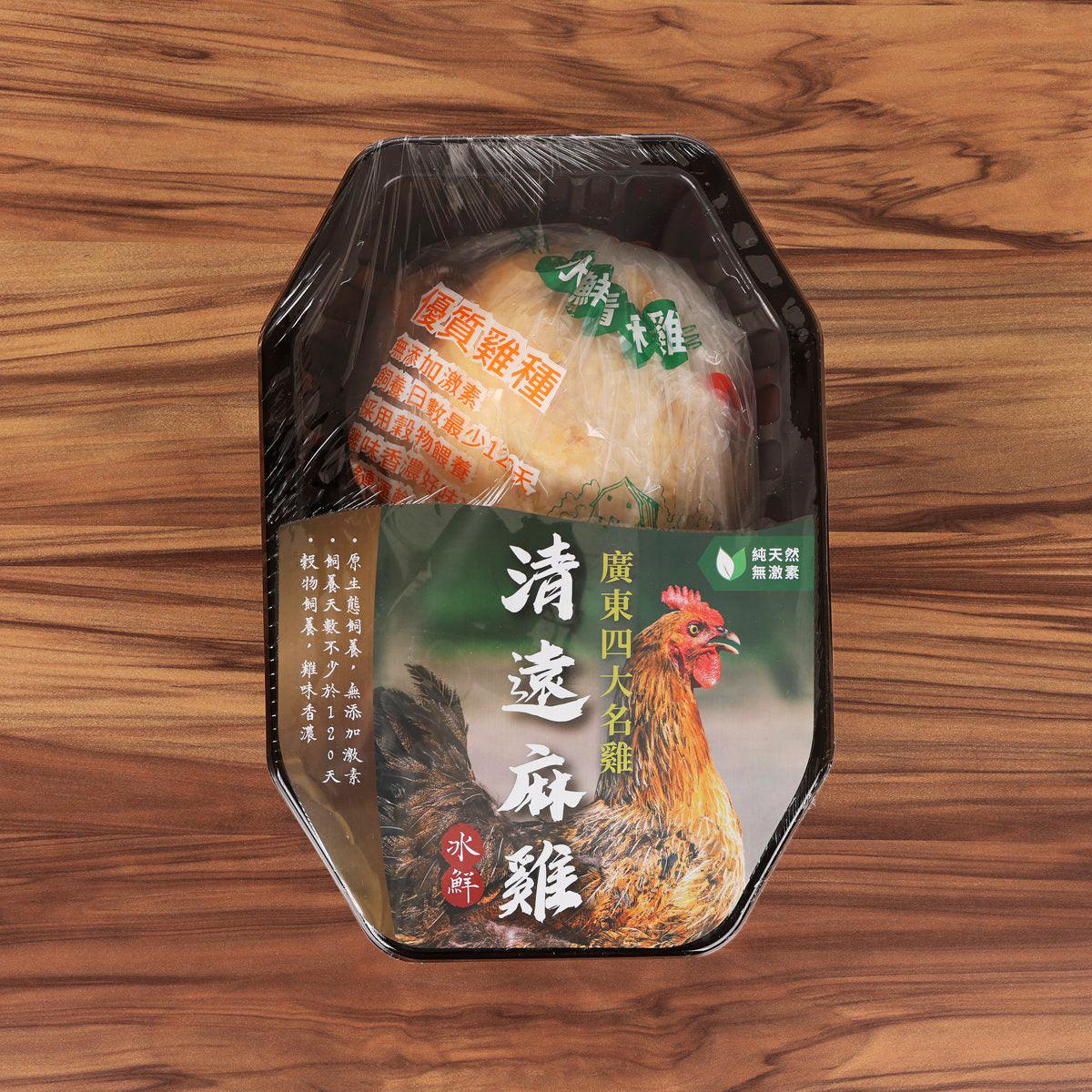中國冰鮮清遠麻雞 (1pc)