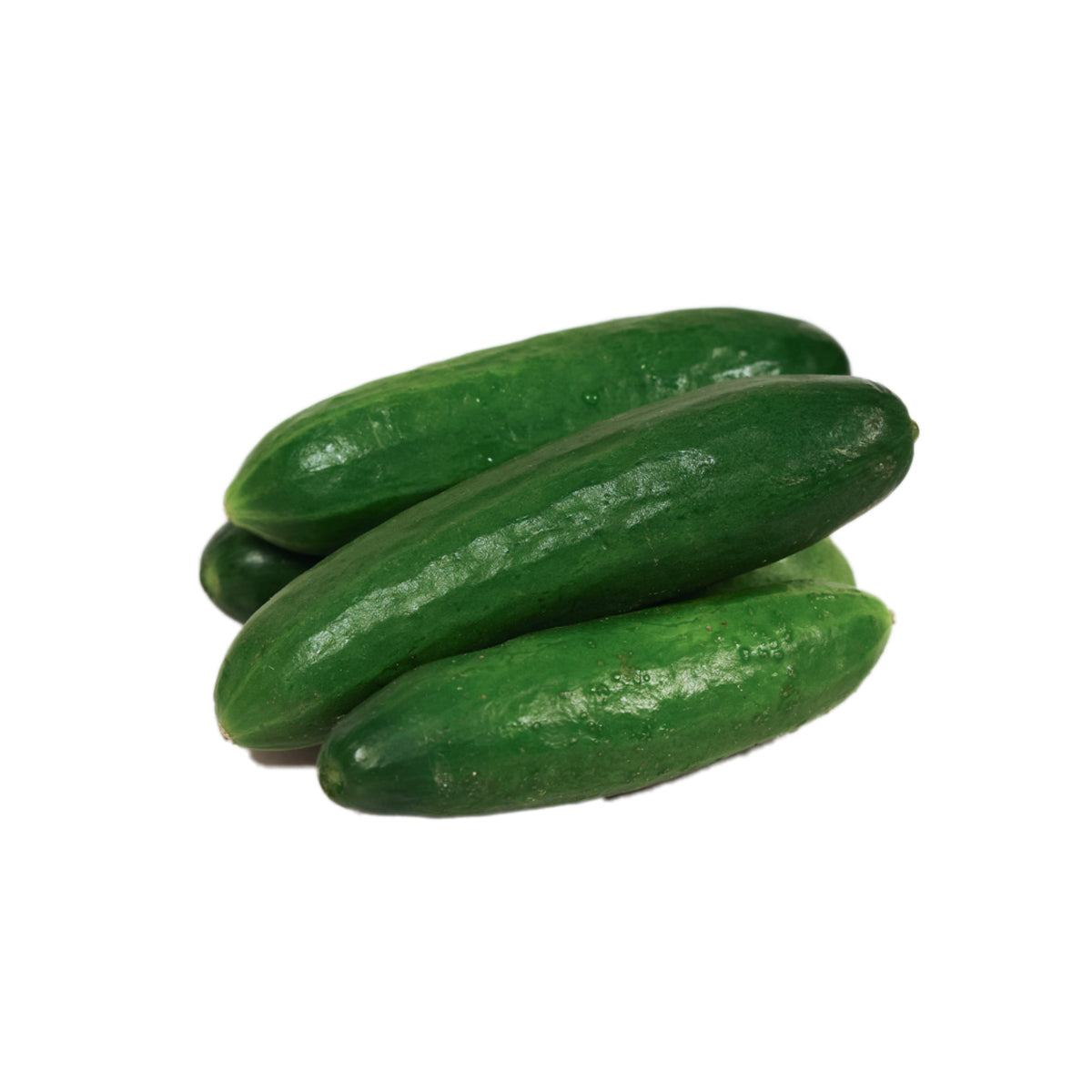 澳洲迷你青瓜 (1pc)