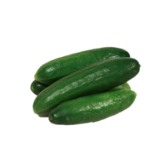 澳洲迷你青瓜 (1pc)