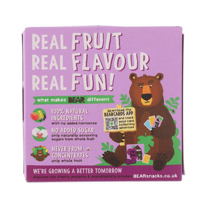 BEAR 黑加侖子味水果卷 (5 x 20g)