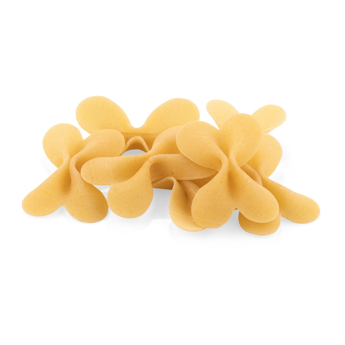 LA FABBRICA DELLA 蝴蝶粉 (500g)