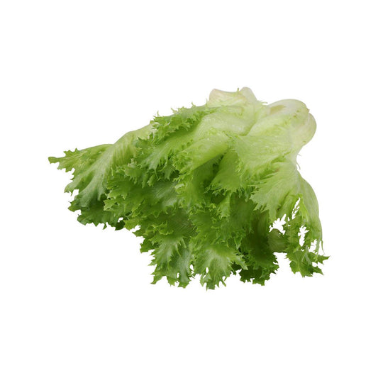 沖繩水耕栽培Frill生菜 (1pack)