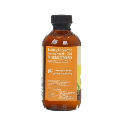 大杯茶 茉莉綠茶菌發酵茶 (250mL)