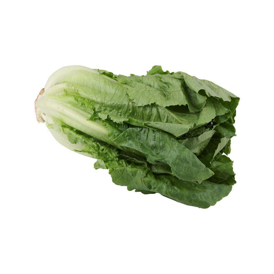 日本羅馬生菜 (600g)