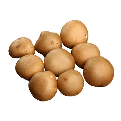 本地有機啡蘑菇 (200g)