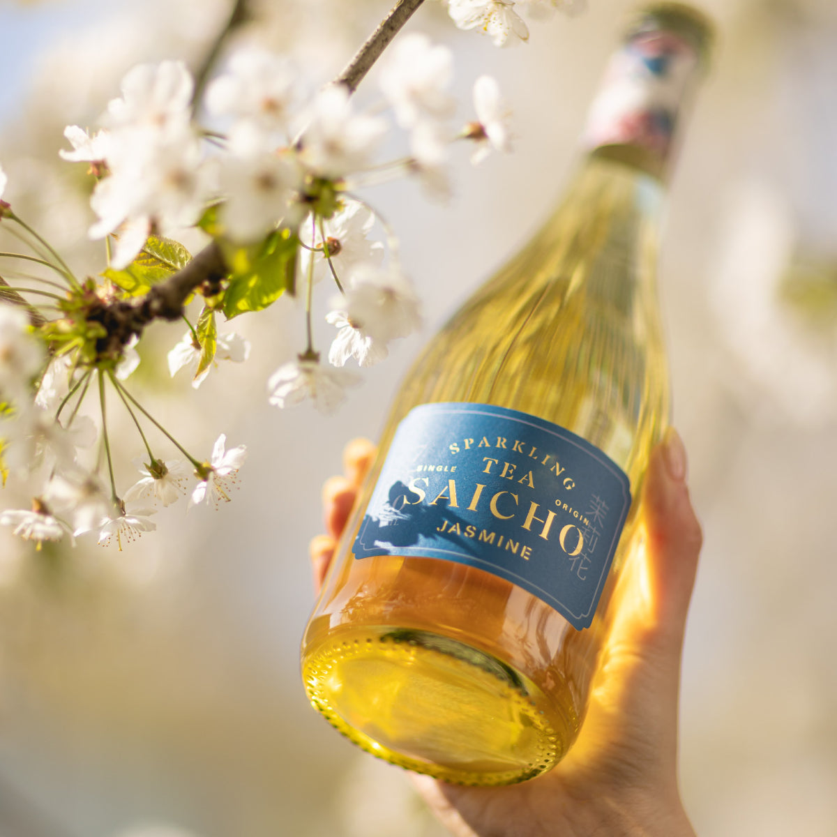 SAICHO 禮盒裝氣泡茶 - 茉莉花茶 (750mL)