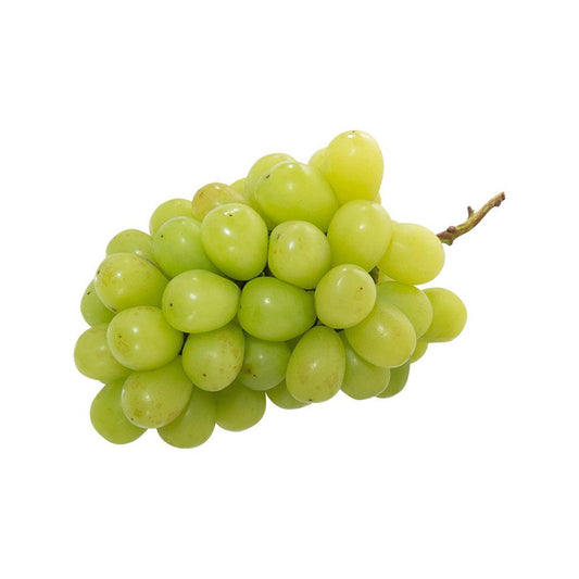 ALL FRESH 韓國祖之鄉麝香無核青提子 (650g)