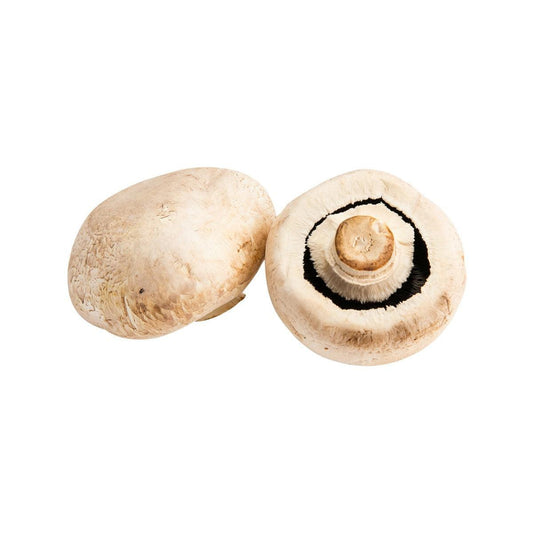 荷蘭大白蘑菇 (200g)