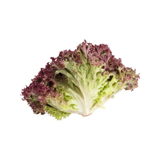法國紅葉生菜 (170g)