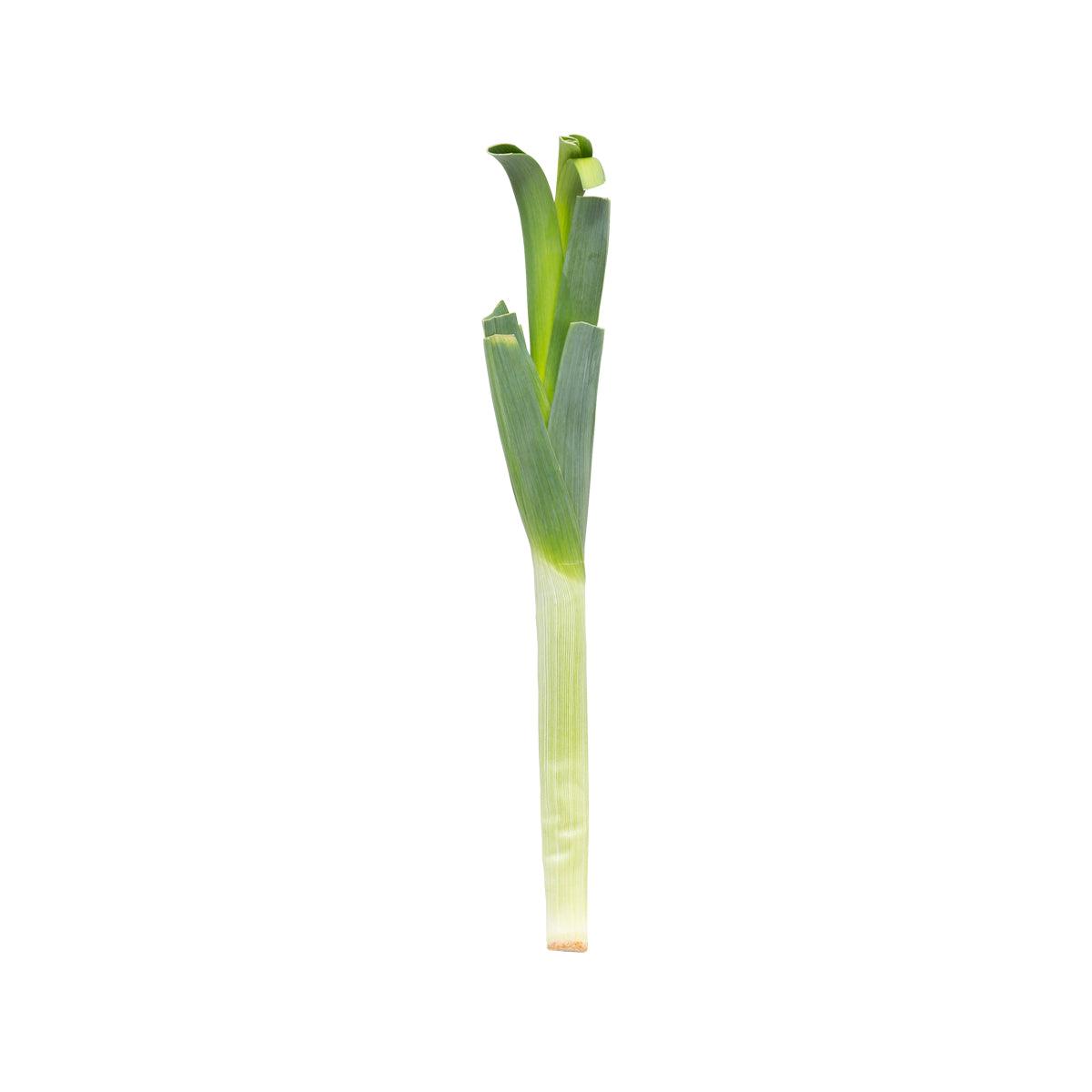 荷蘭韭蔥 (300g)
