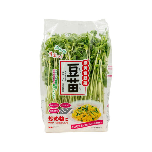 日本豆苗 (1pack)