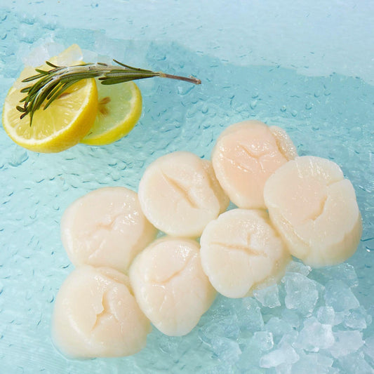 日本北海道急凍帶子U15-煮食用 (300g)