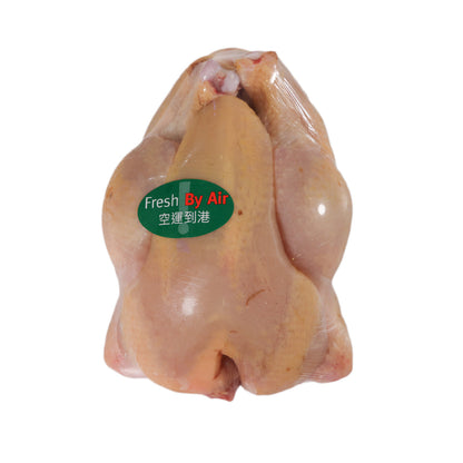 CITYSUPER 法國冰鮮黃春雞 (1pack)