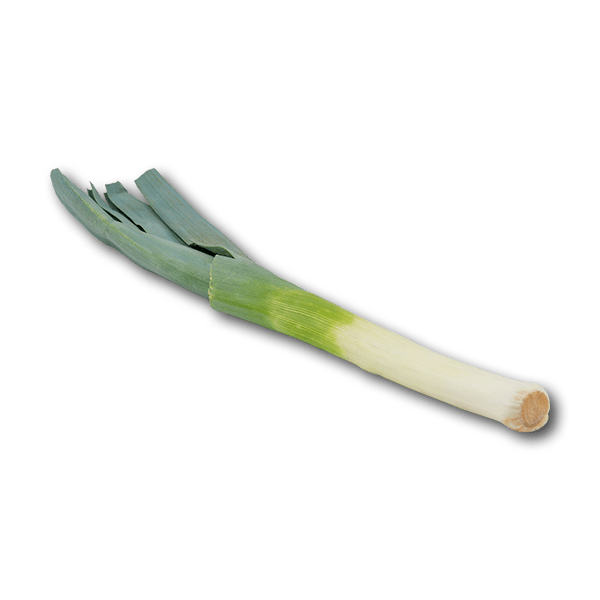 荷蘭韭蔥 (300g)