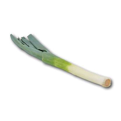荷蘭韭蔥 (300g)